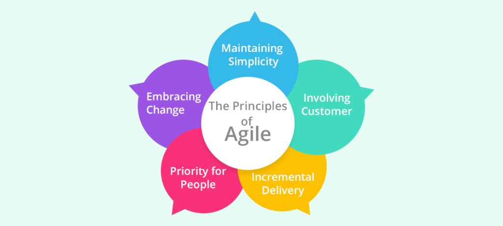 The Principles of Agile