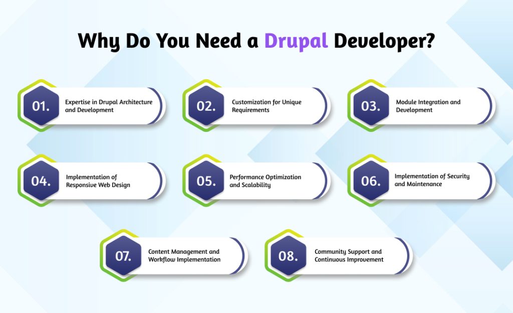 Drupal Developer