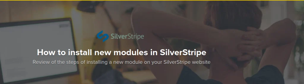 Silverstripe themes