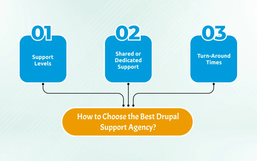 How to Choose the Best Drupal Support Agency