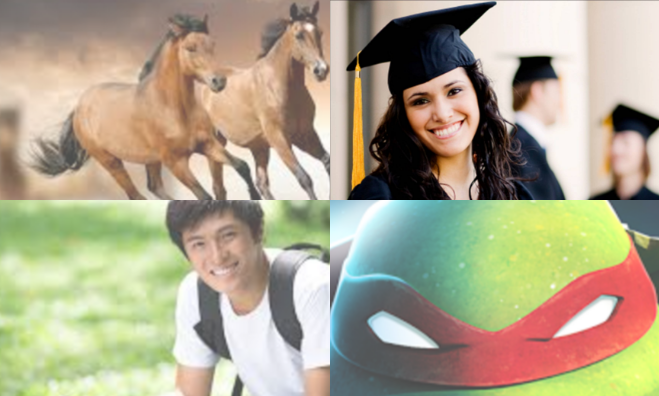 Zoom out effect view( On Hover )