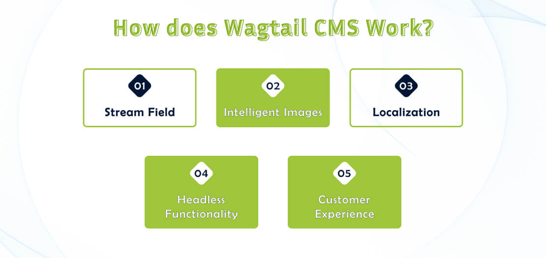 Wagtail CMS Vs Django CMS: Which Option is Best for Django