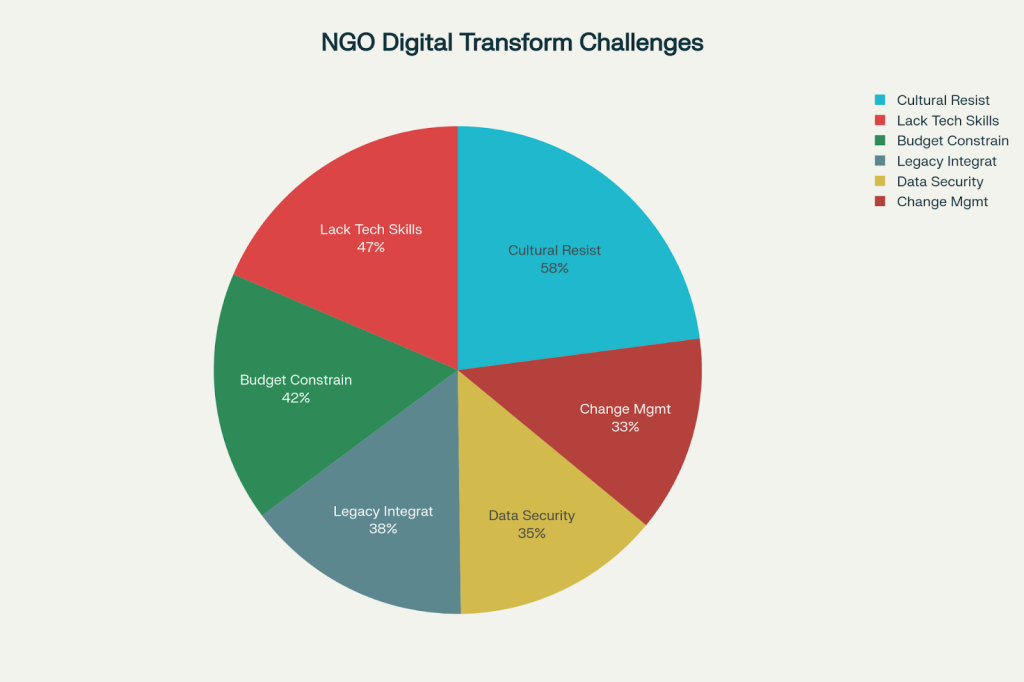 NGO Digital Transform Challenges